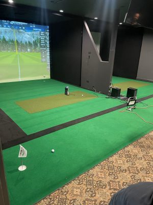 Complete Carls DIY Sim Bays with V2 1 level Putting Studio with GST Add On